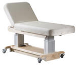 Celesta PerformaLift Back Rest Top