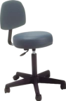 Adjustable Stool with backrest